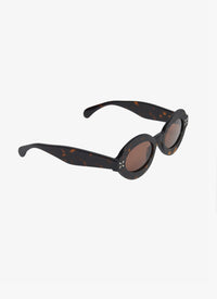 Lunettes de soleil ovales - Havane & Marron