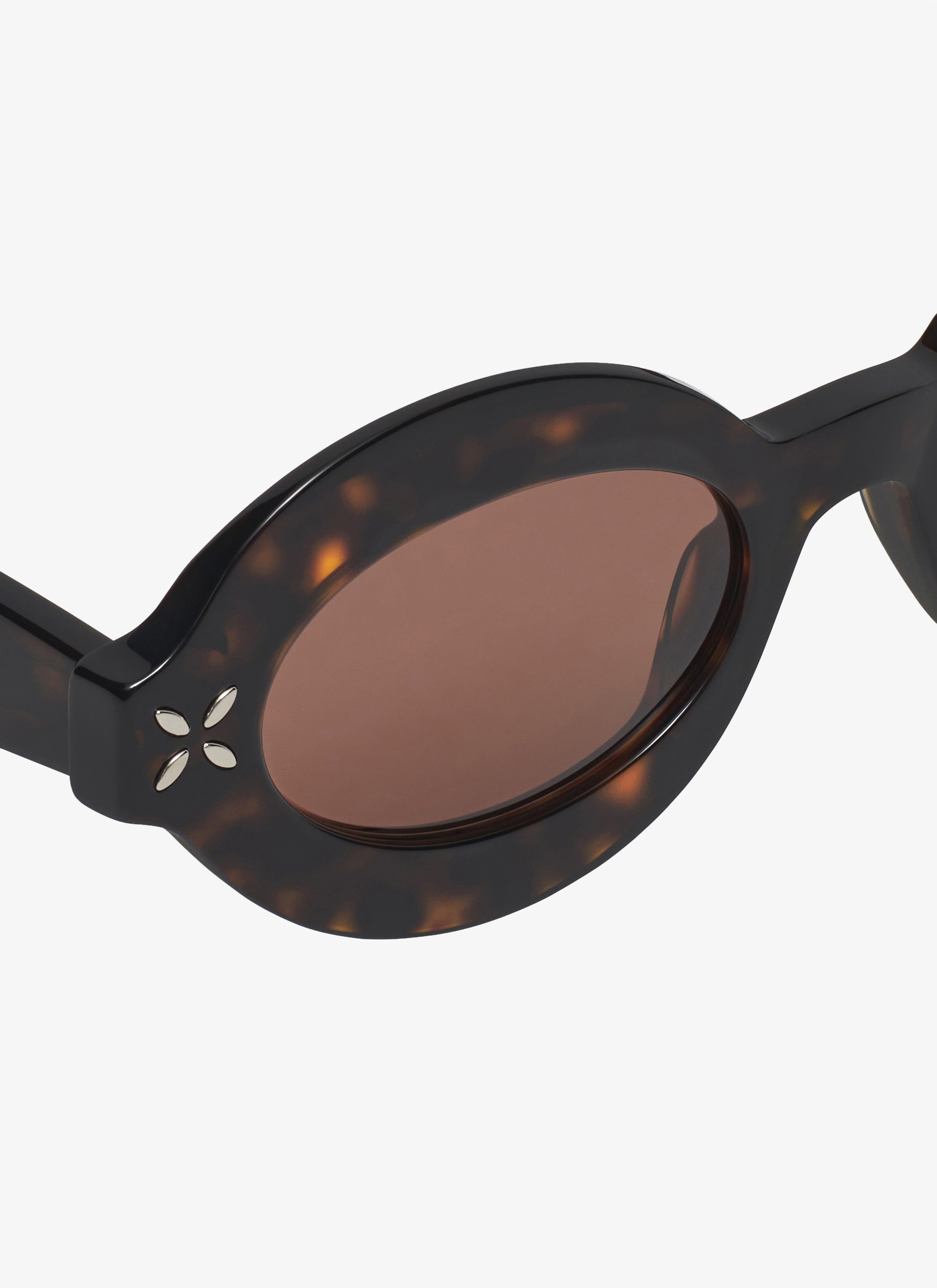 Lunettes de soleil ovales - Havane & Marron