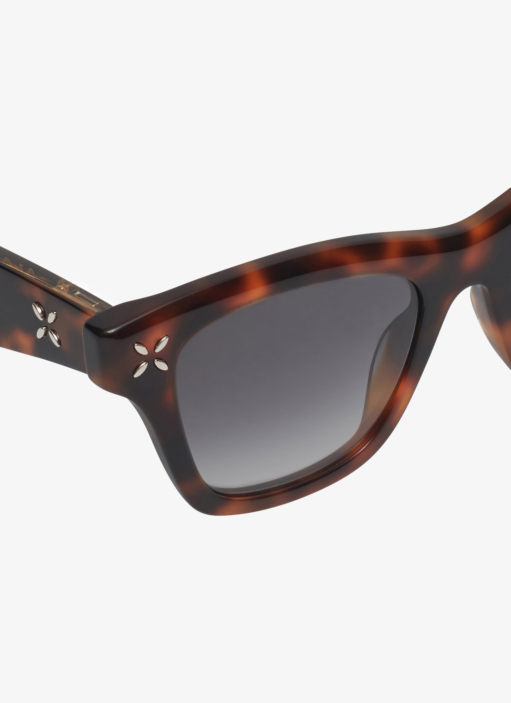 Lunettes de soleil rectangulaires - Havane & Marron