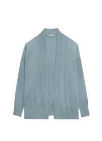 Shiny cardigan - Horizon