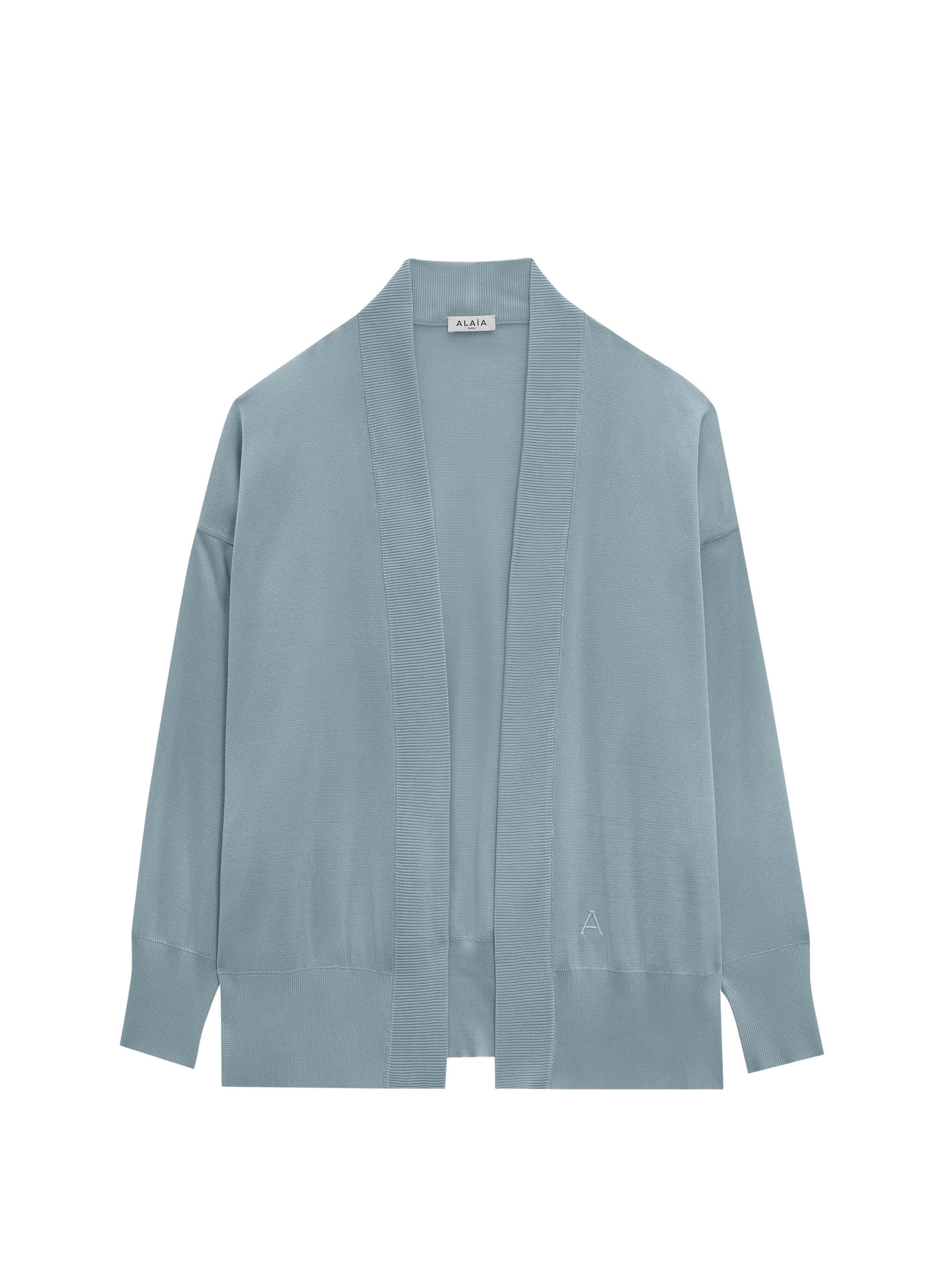 Shiny cardigan - Horizon
