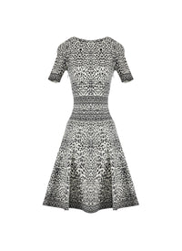 Short Sleeve Lynx Knit Dress - White & Black