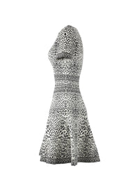 Short Sleeve Lynx Knit Dress - White & Black