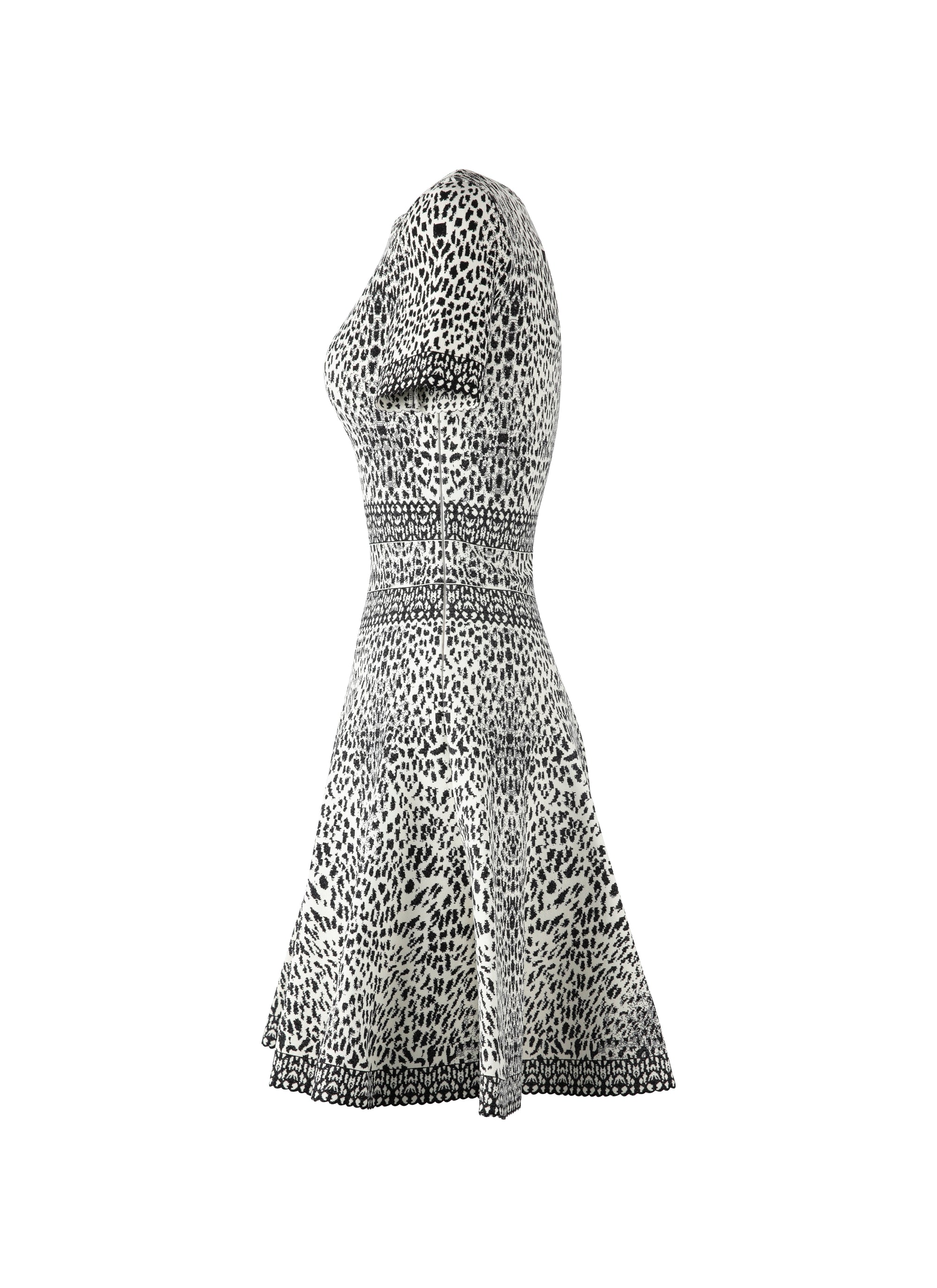 Short Sleeve Lynx Knit Dress - White & Black